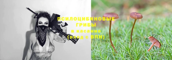 спиды Белоозёрский