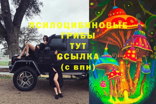 каннабис Беломорск
